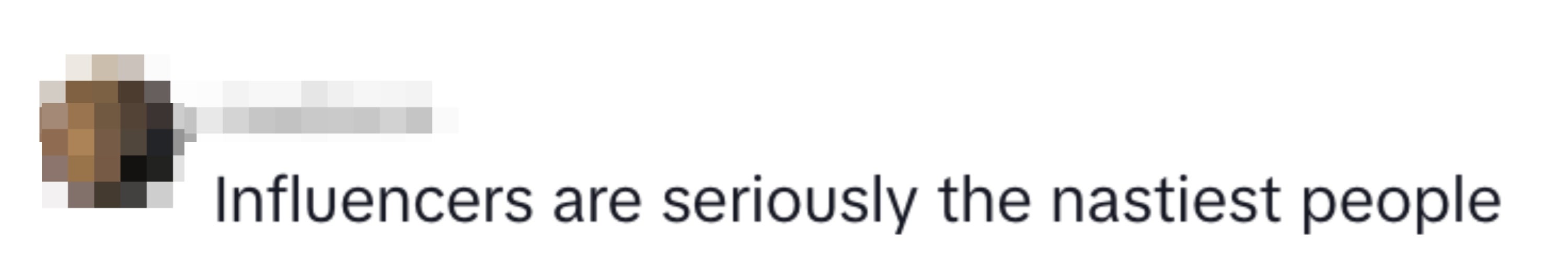 Comment from a societal  media station  stating, "Influencers are earnestly  the nastiest people."