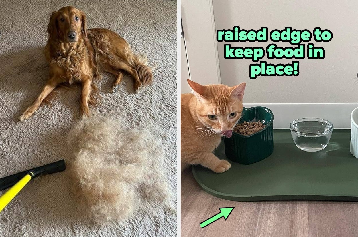 Left: Dog beside a pile of shed fur and a grooming tool. Right: Cat eating from a dish on a mat with raised edges to keep food in place