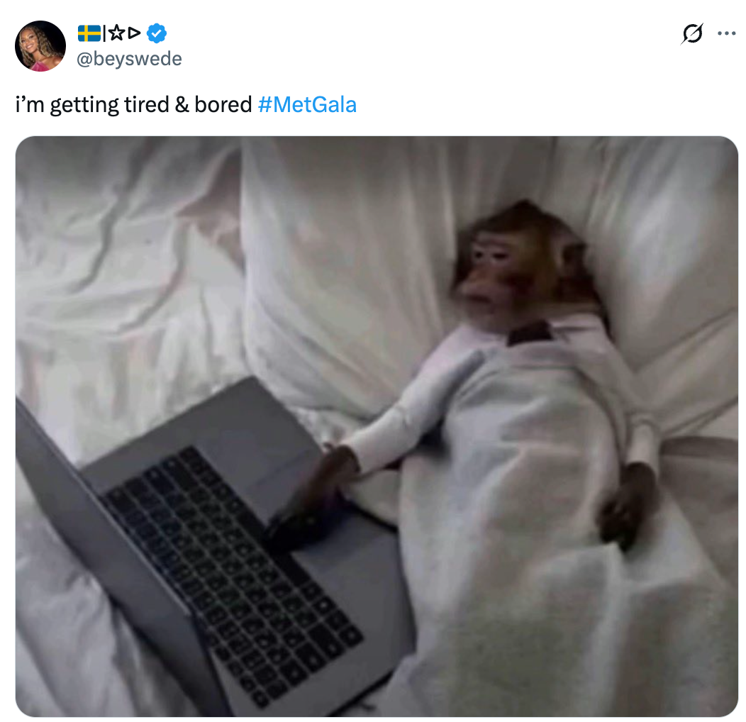 Monyet di tempat tidur menggunakan laptop, ditutupi selimut. Teks tweet: 