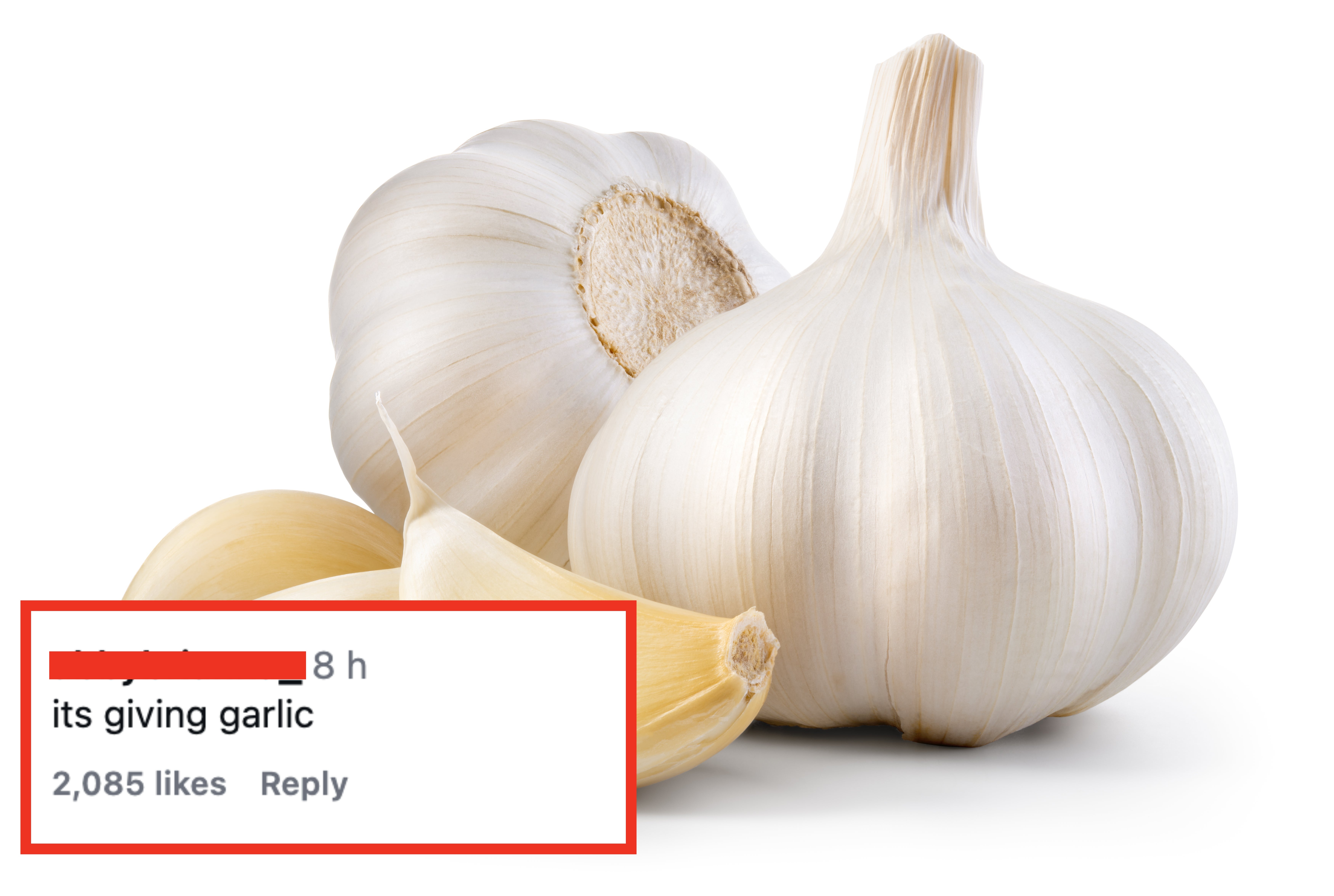 Garlic bulb with respective  separated cloves displayed adjacent  to it connected  a achromatic  background