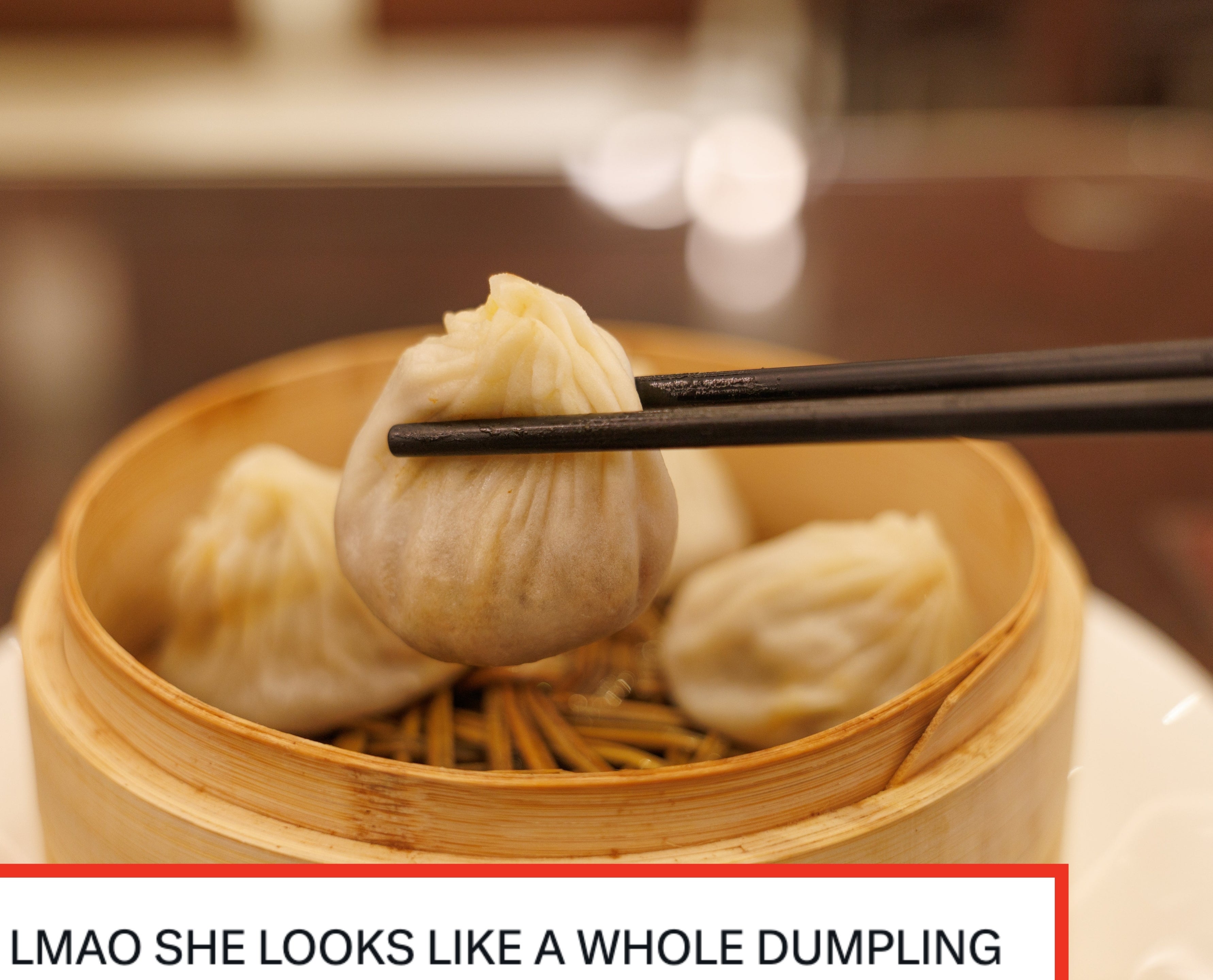 Chopsticks clasp  a steamed dumpling supra  a bamboo steamer connected  a table