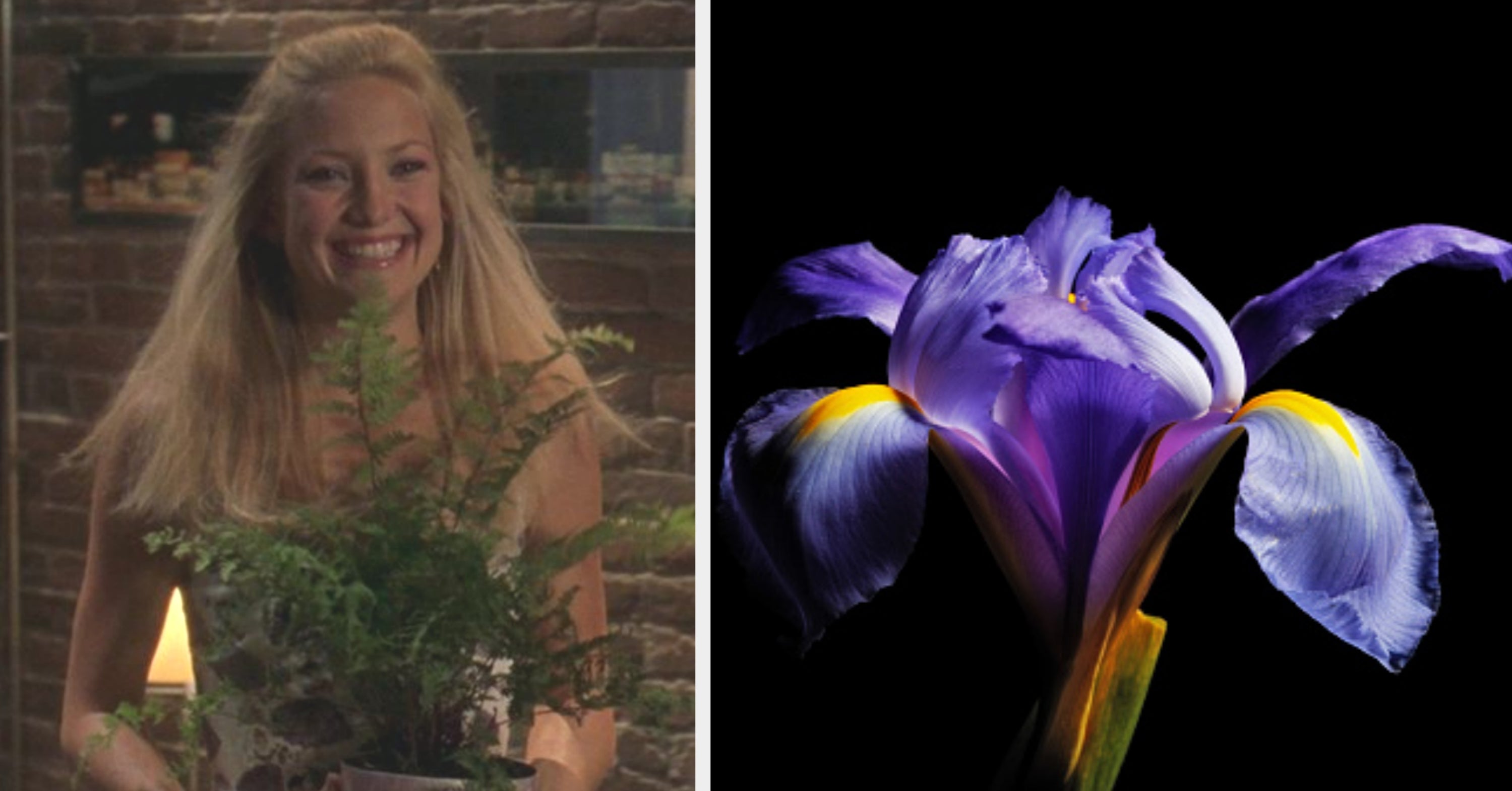 Build Your Ideal Spring Day And I'll Reveal Your Inner Aura Flower