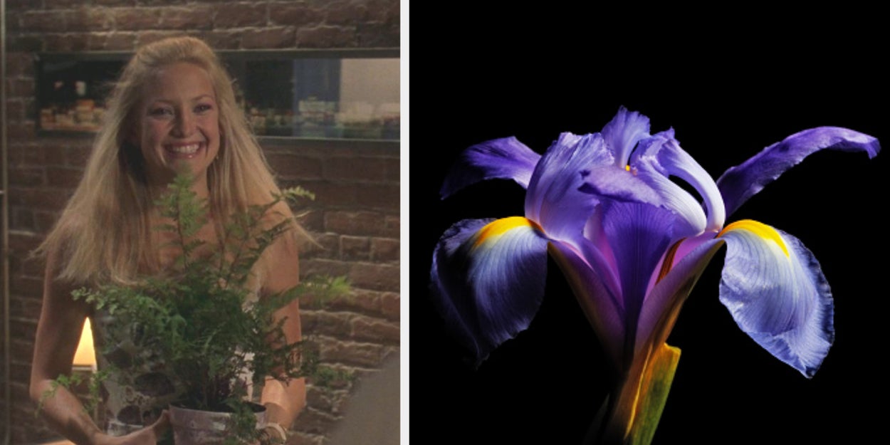 Everyone Has An Aura Flower — Plan Your Perfect Day In Spring To Reveal Yours