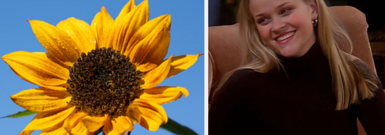 Choose A Flower For Every Mood And I'll Deeply Analyze Your Feelings And Personality Type