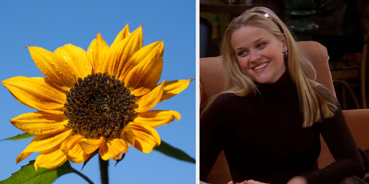 Assign A Flower To These Specific Moods And I'll Read Your Deep Personality Type