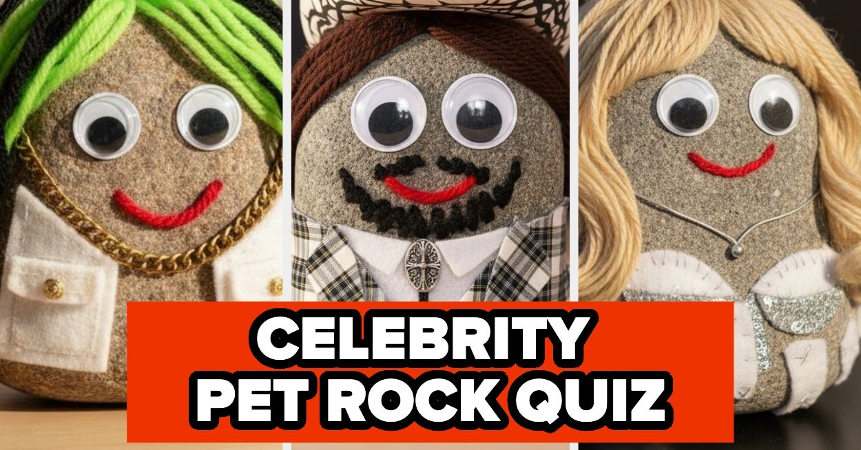 Only True Pop Culture Fans Will Recognize These 17 Celebrities Turned Into Pet Rocks