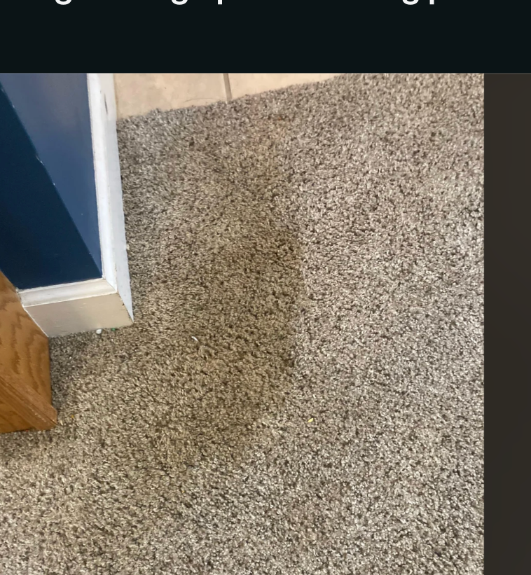 Post image 6