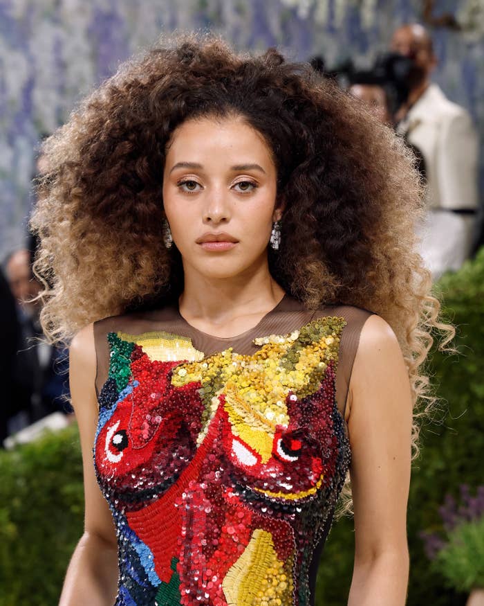 Person with voluminous curly hairsbreadth  successful  a sequined, colorful patterned dress, attending a ceremonial  event