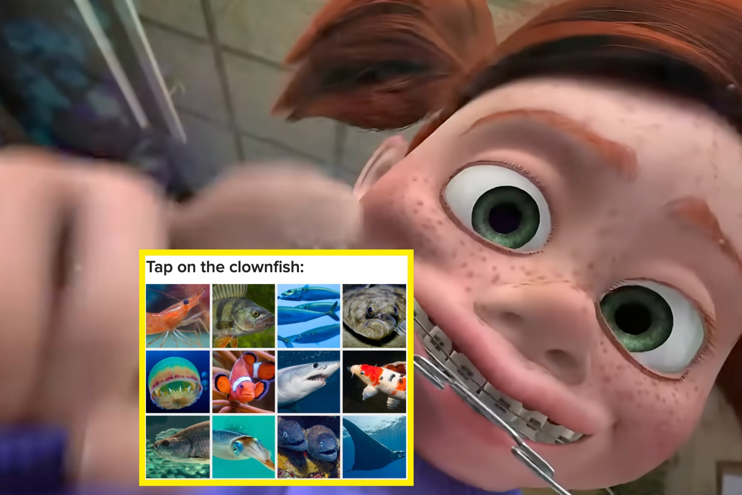 NG6vzKHrk.jpg