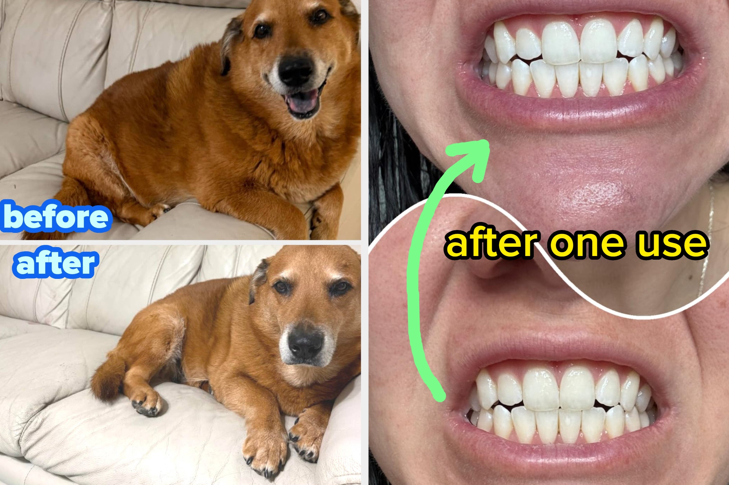 Just 39 Products That Clearly Deserve Accolades, Awards, And Applause