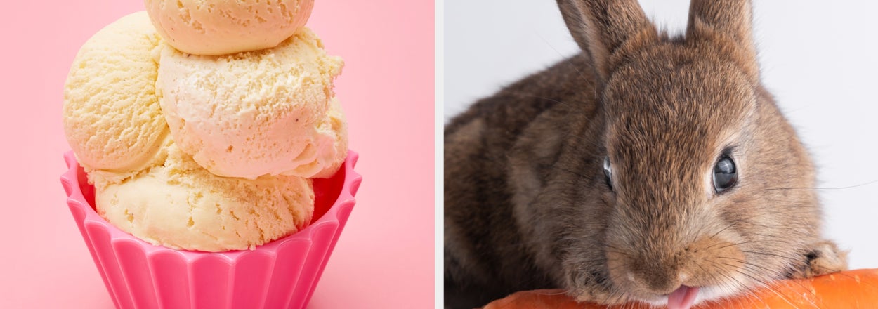 Make An Ice Cream Sundae To Find Out What Animal You Are