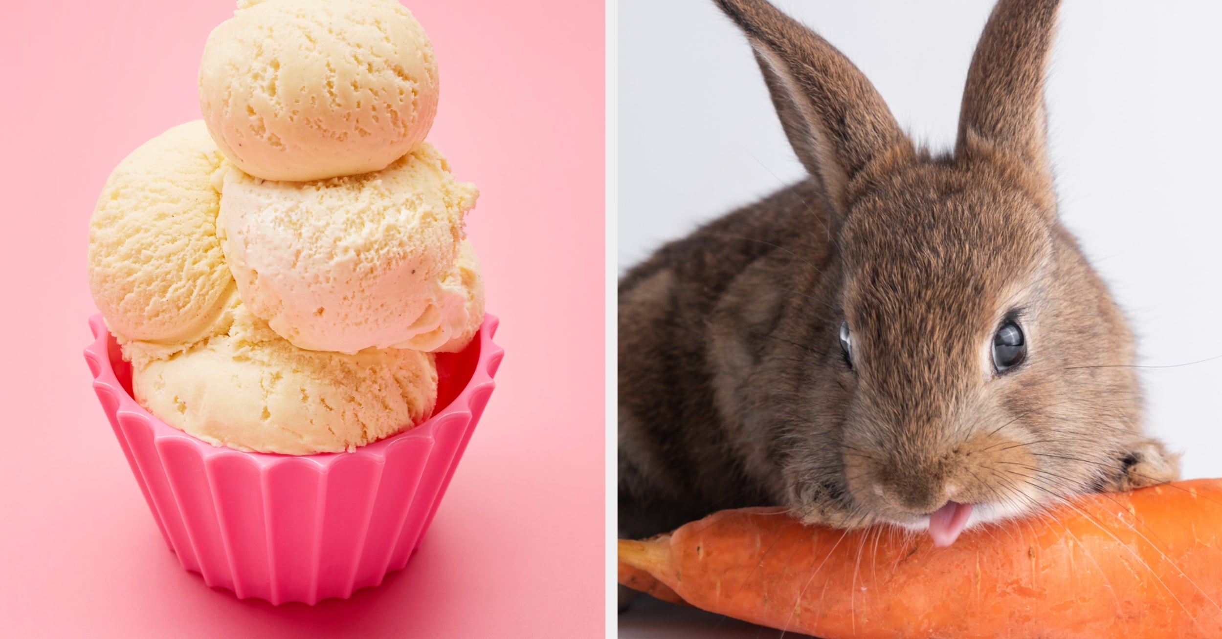 Create The Most Delicious Ice Cream Sundae And We'll Tell You Which Animal You Secretly Are