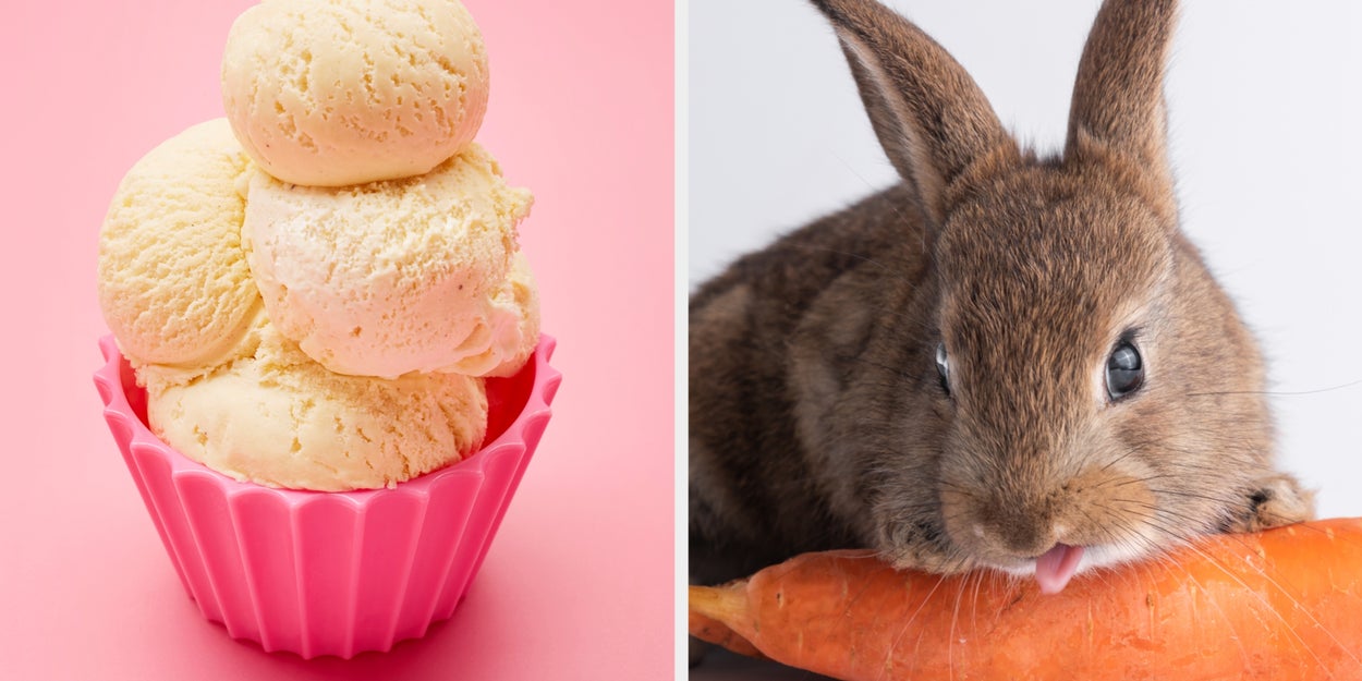 Make An Ice Cream Sundae To Find Out What Animal You Are