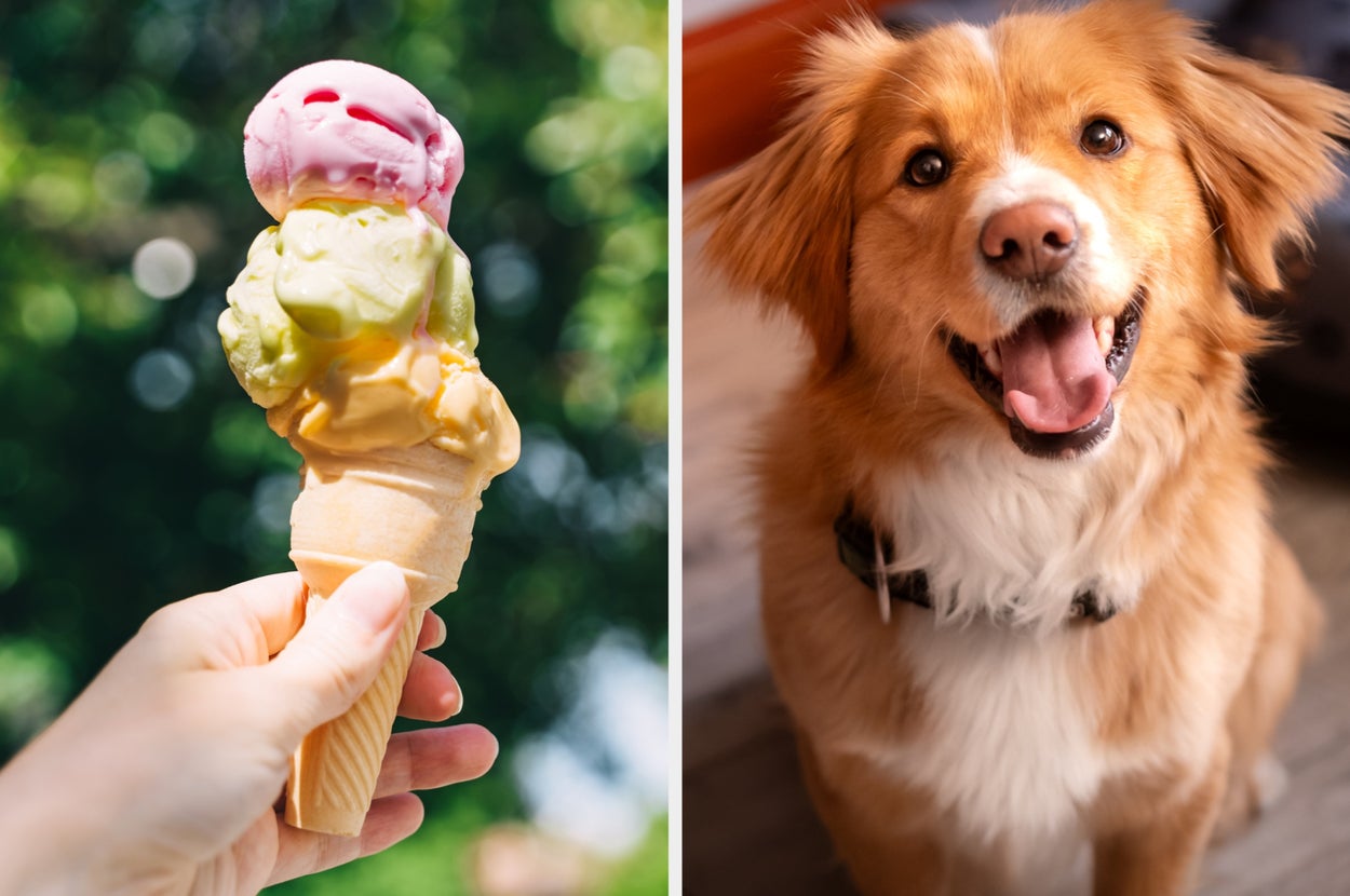 Person holding an ice cream cone with multiple scoops on the left; happy dog looking up on the right