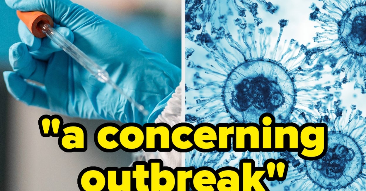We're Infectious Disease Experts. Here's What Actually Concerns Us About This Hantavirus Outbreak.