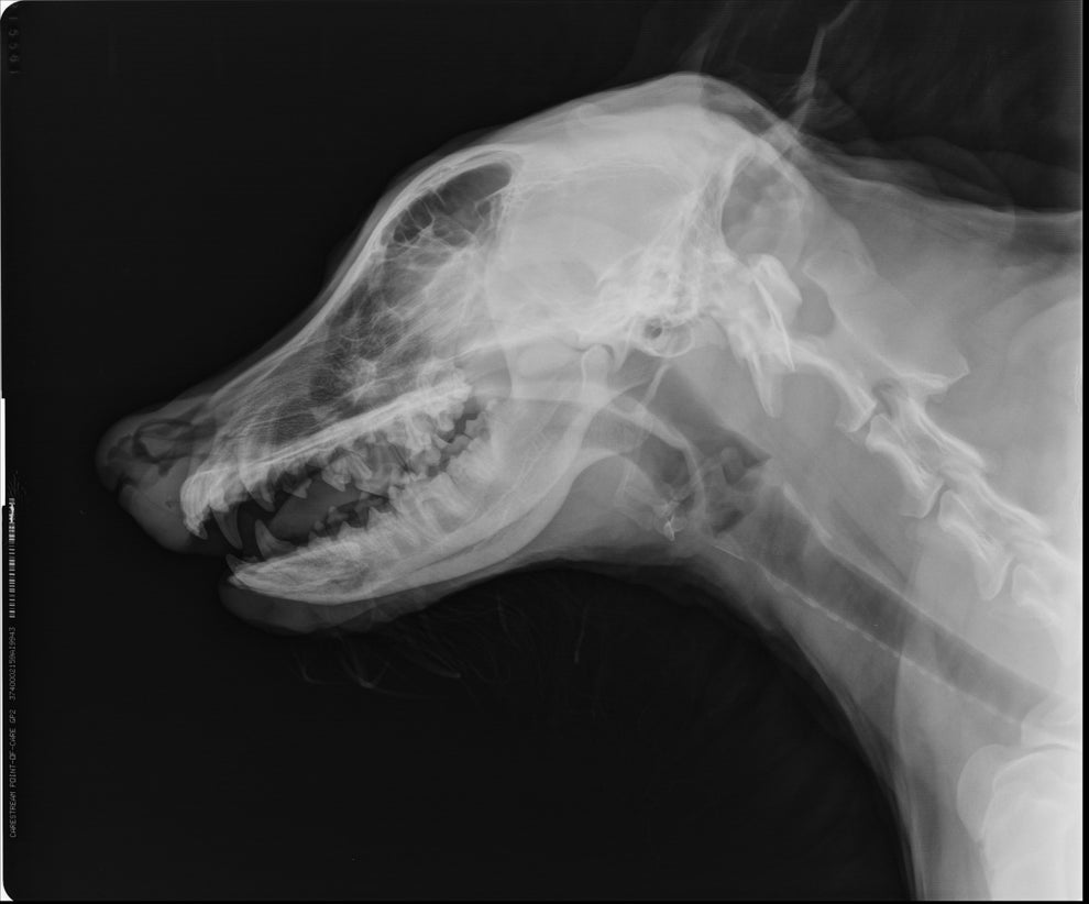Post image 21