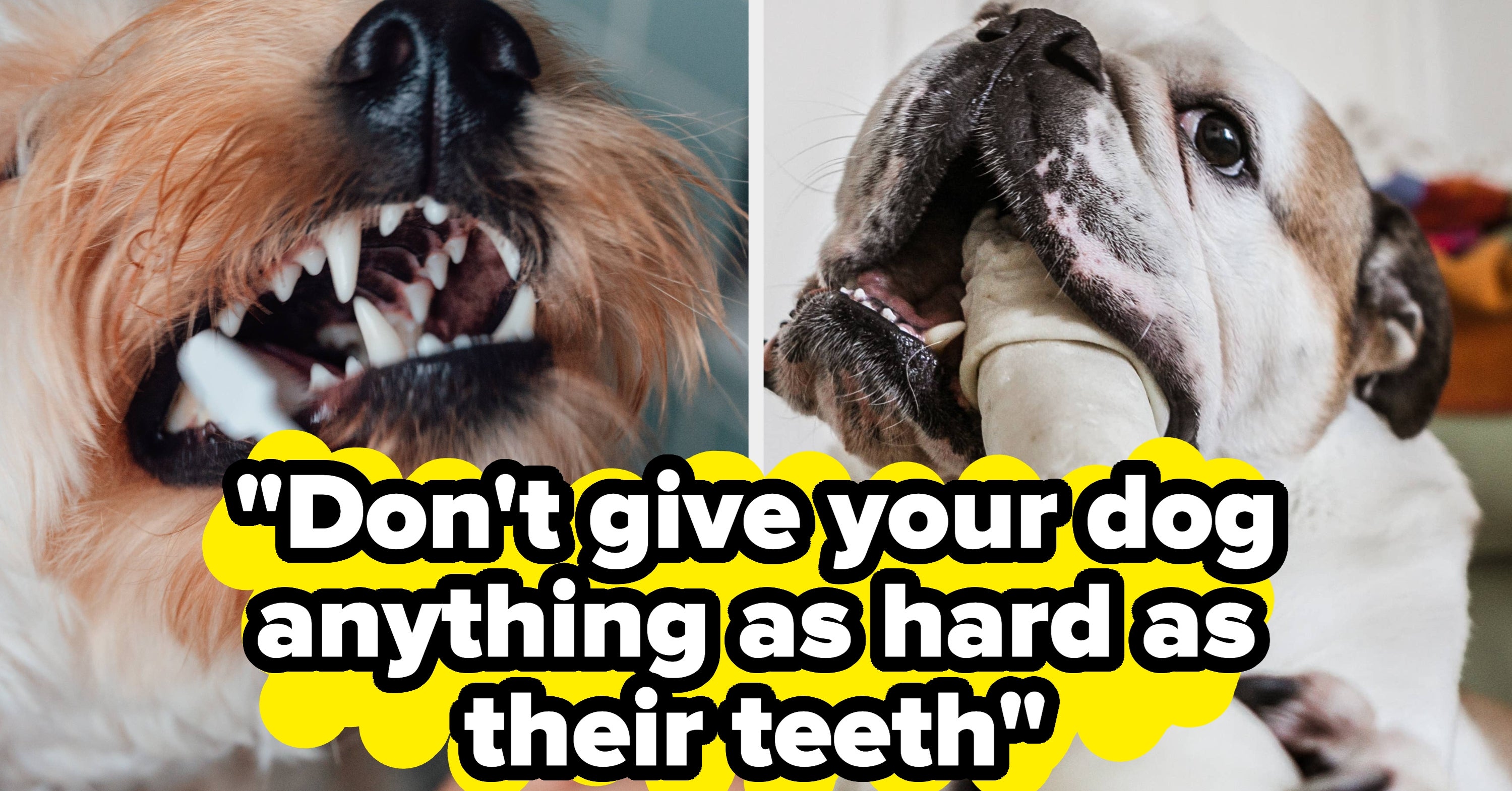 Apparently, Some Very Popular Dog Treats Are Sending Dogs Straight To Surgery