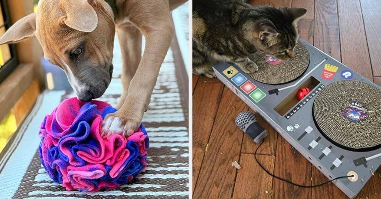 Ahem, It Has Come To My Attention That Your Pet Deserves A Little Treat — Here Are 28 They’ll Probably Love