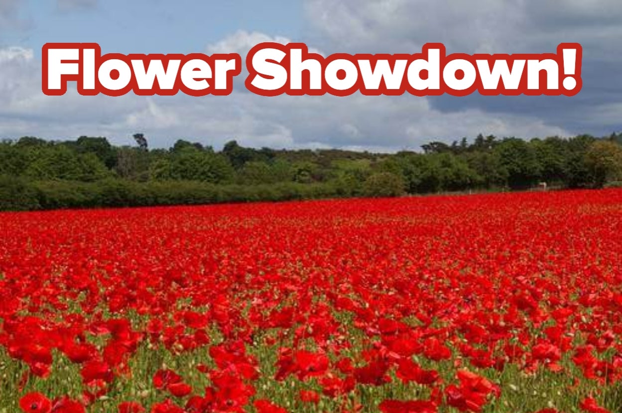 A field of red poppies stretches towards the horizon under a cloudy sky, with bold text reading "Flower Showdown!" at the top