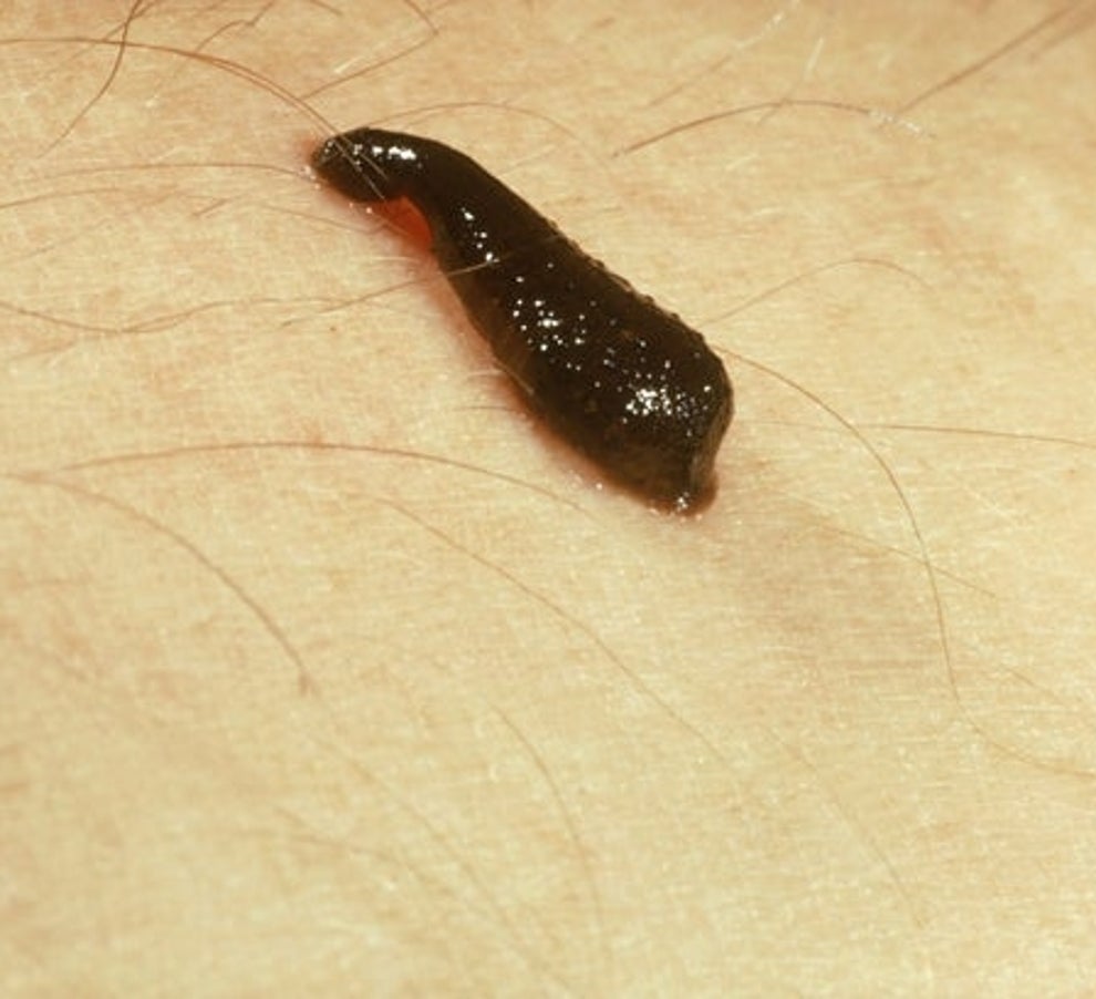 Post image 30
