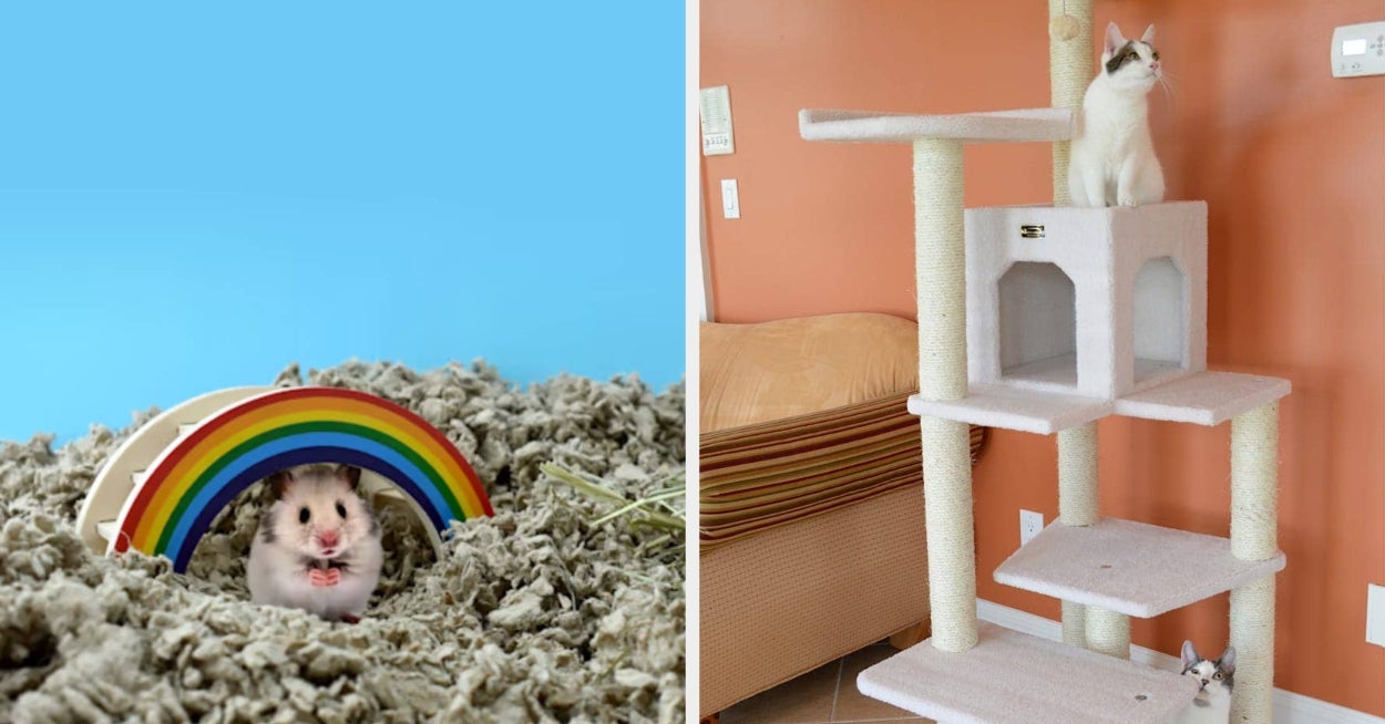 20 Problem-Solving Products From Petco You’ll Wish You’d Had Years Earlier