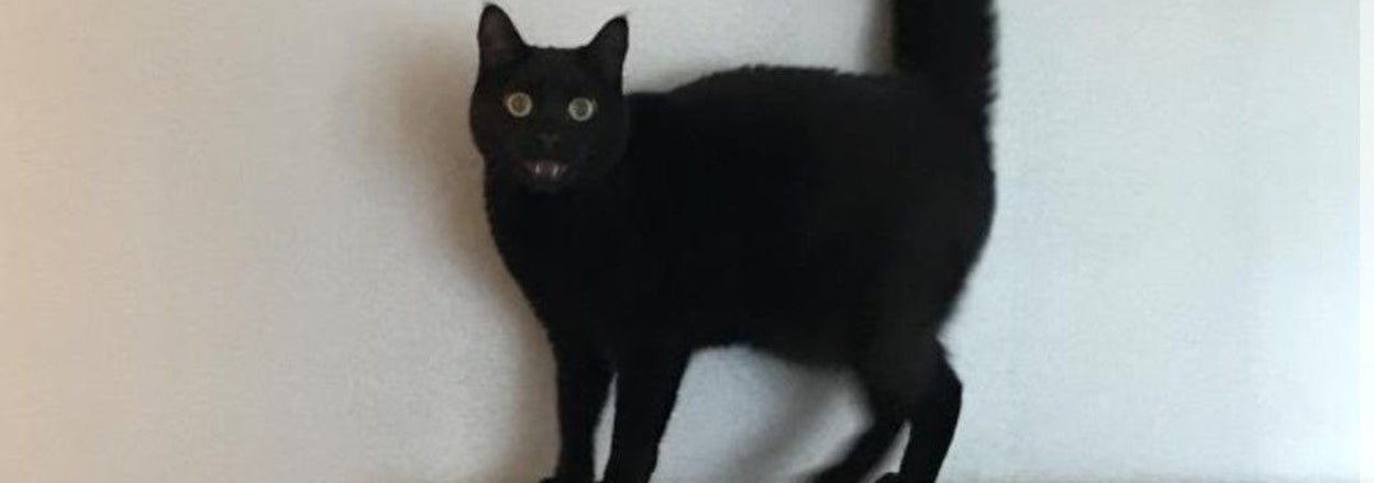 Everything Seems Awful Right Now, So Here Are 18 Posts On The Internet This Week That Might Actually Restore Your Faith In Humanity