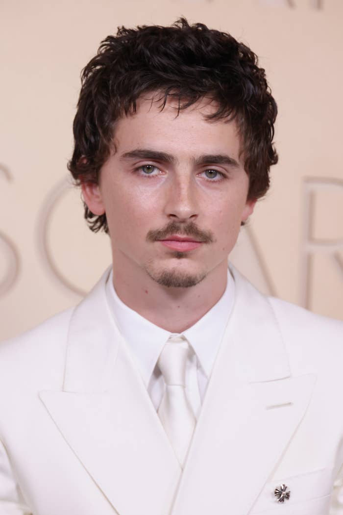 Chalamet on a red carpet wearing a formal suit with a subtle brooch on the lapel at the Oscars