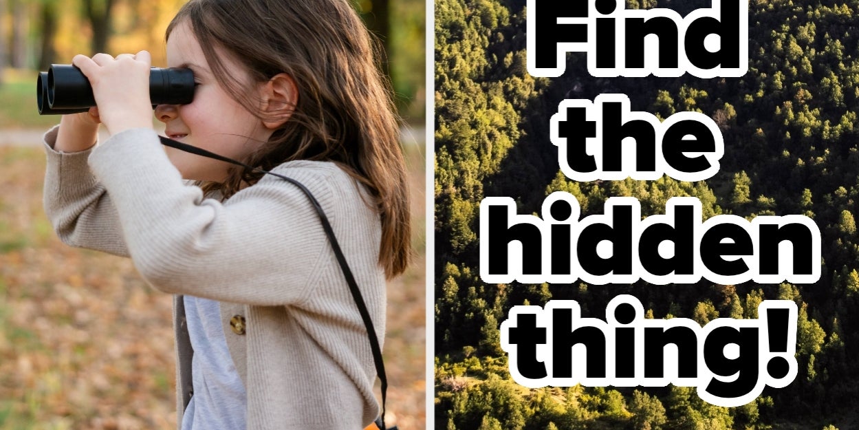 Good Luck Finding The Hidden Objects In These Images!