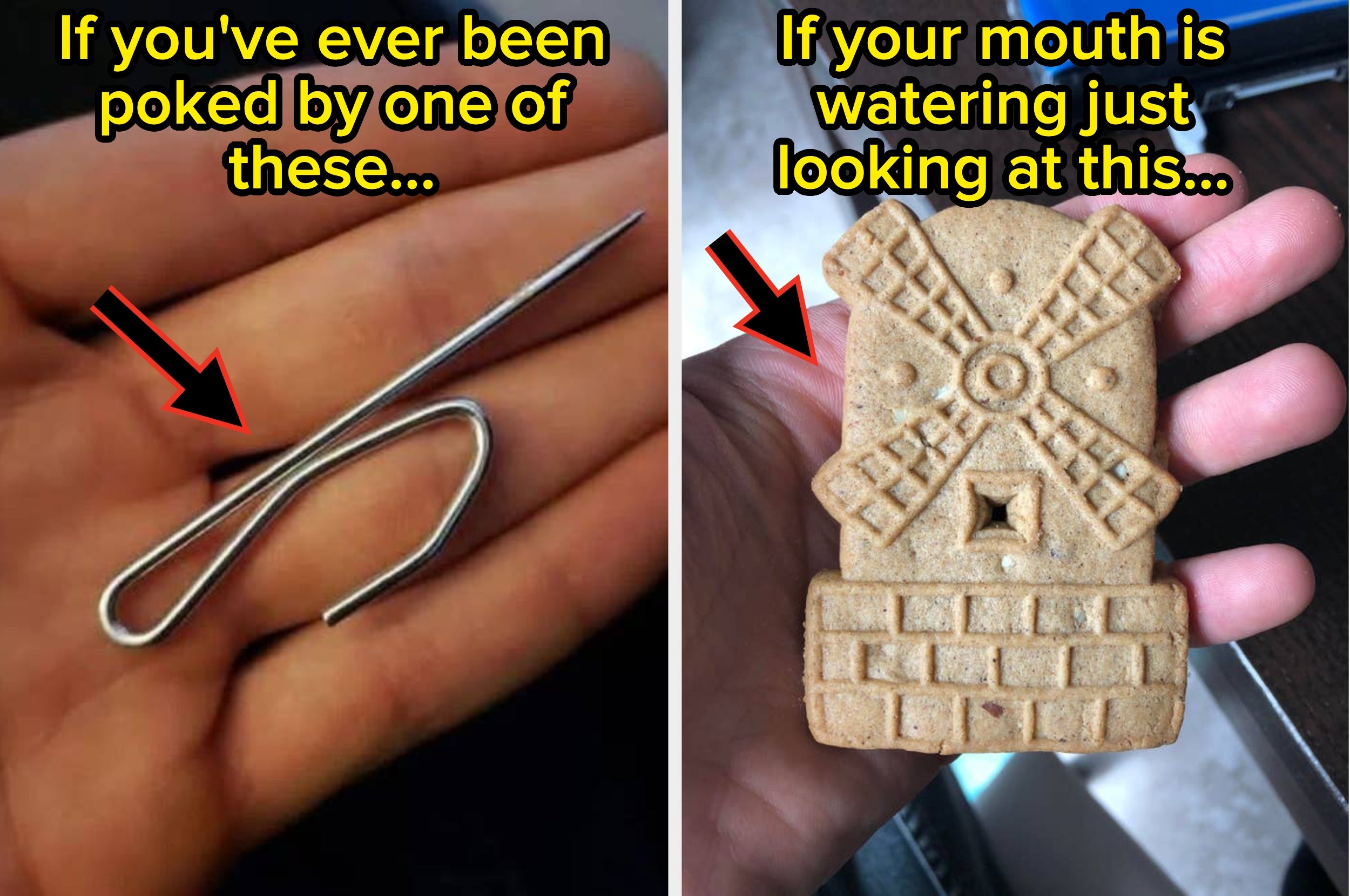Hand holding paper clip with text "If you've ever been poked by one of these..." and hand holding windmill cookie with text "If your mouth is watering just looking at this..."