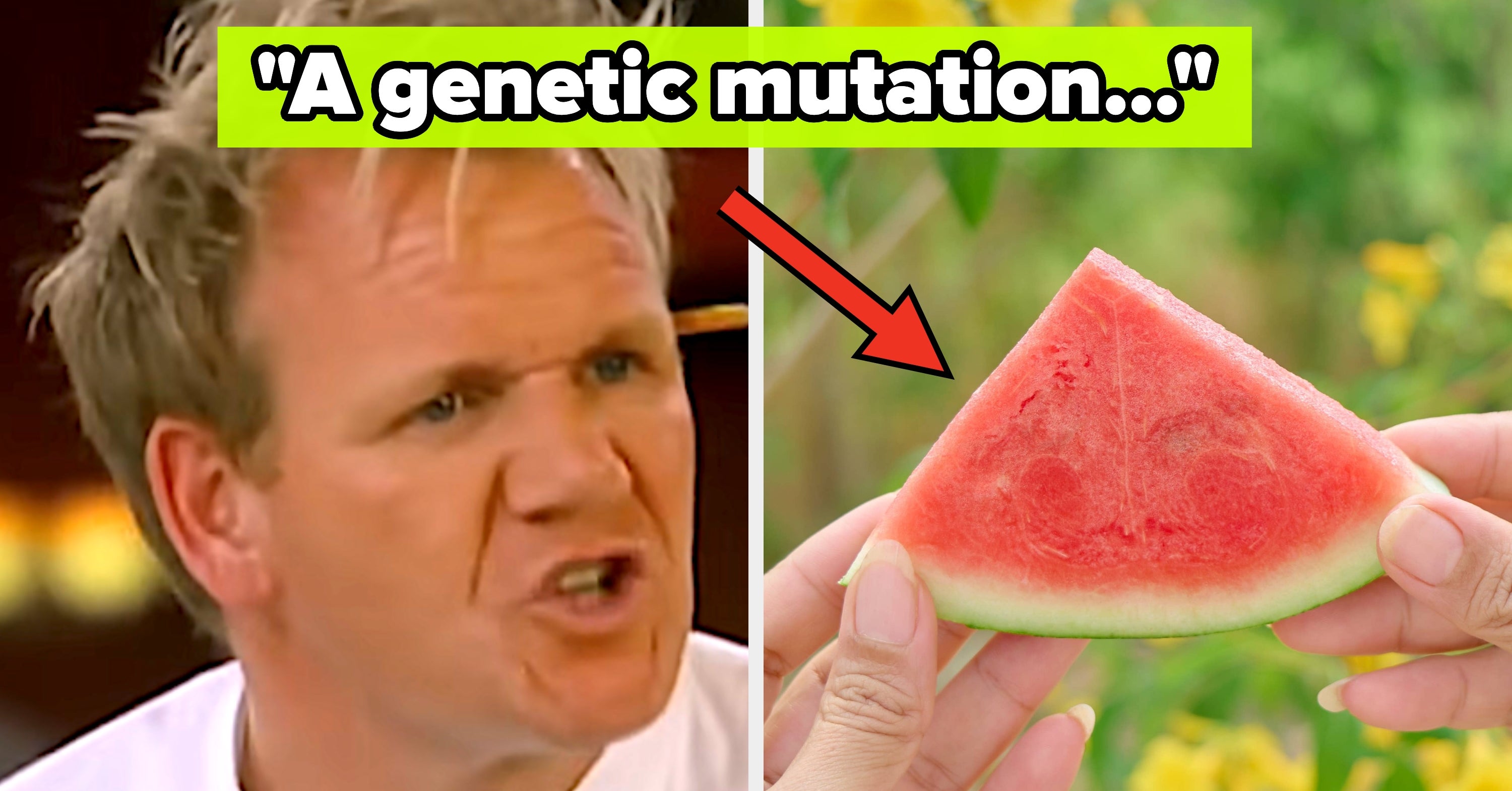 People Are Confessing Which 'Beloved' Foods Make Them Want To Gag, And I'm Shaking My Head Furiously Because Whyyyy