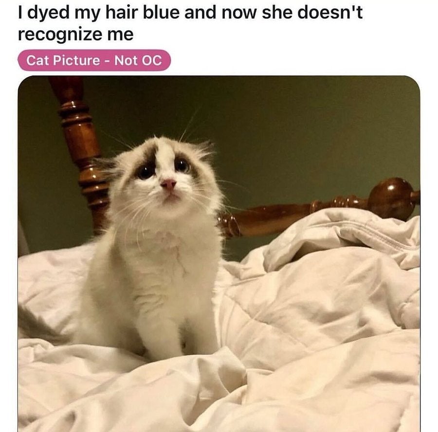 Post image 33
