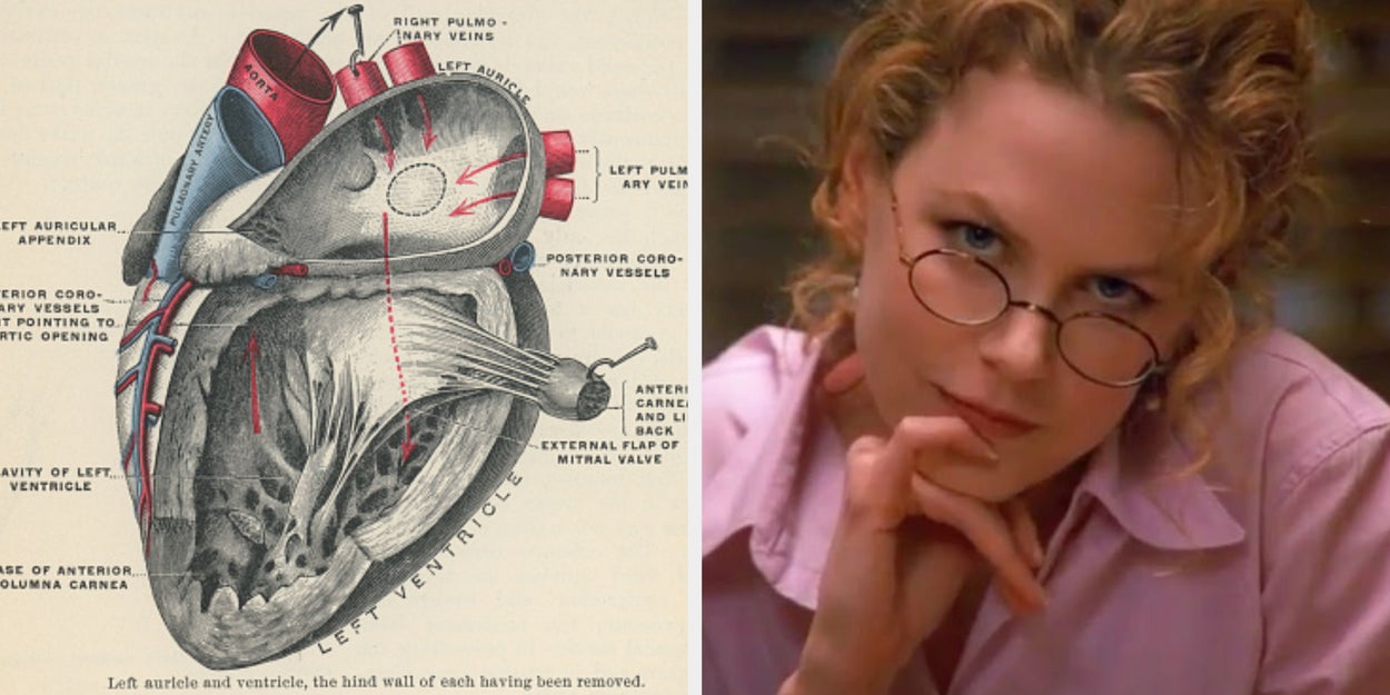 At Your Core, Which Specific Organ Are You Deep Down?