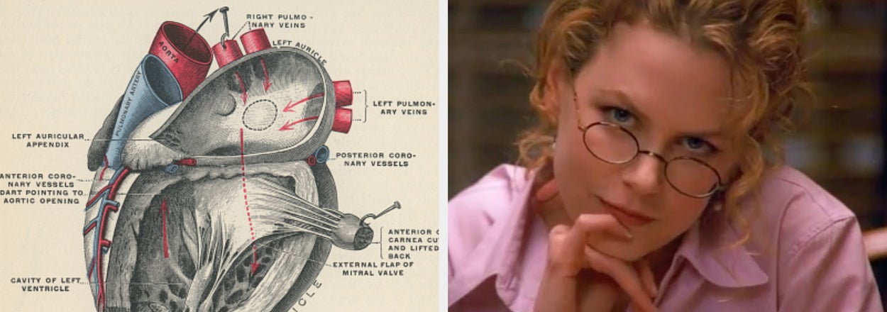 Which Of These 20 Body Organs Are You Really?