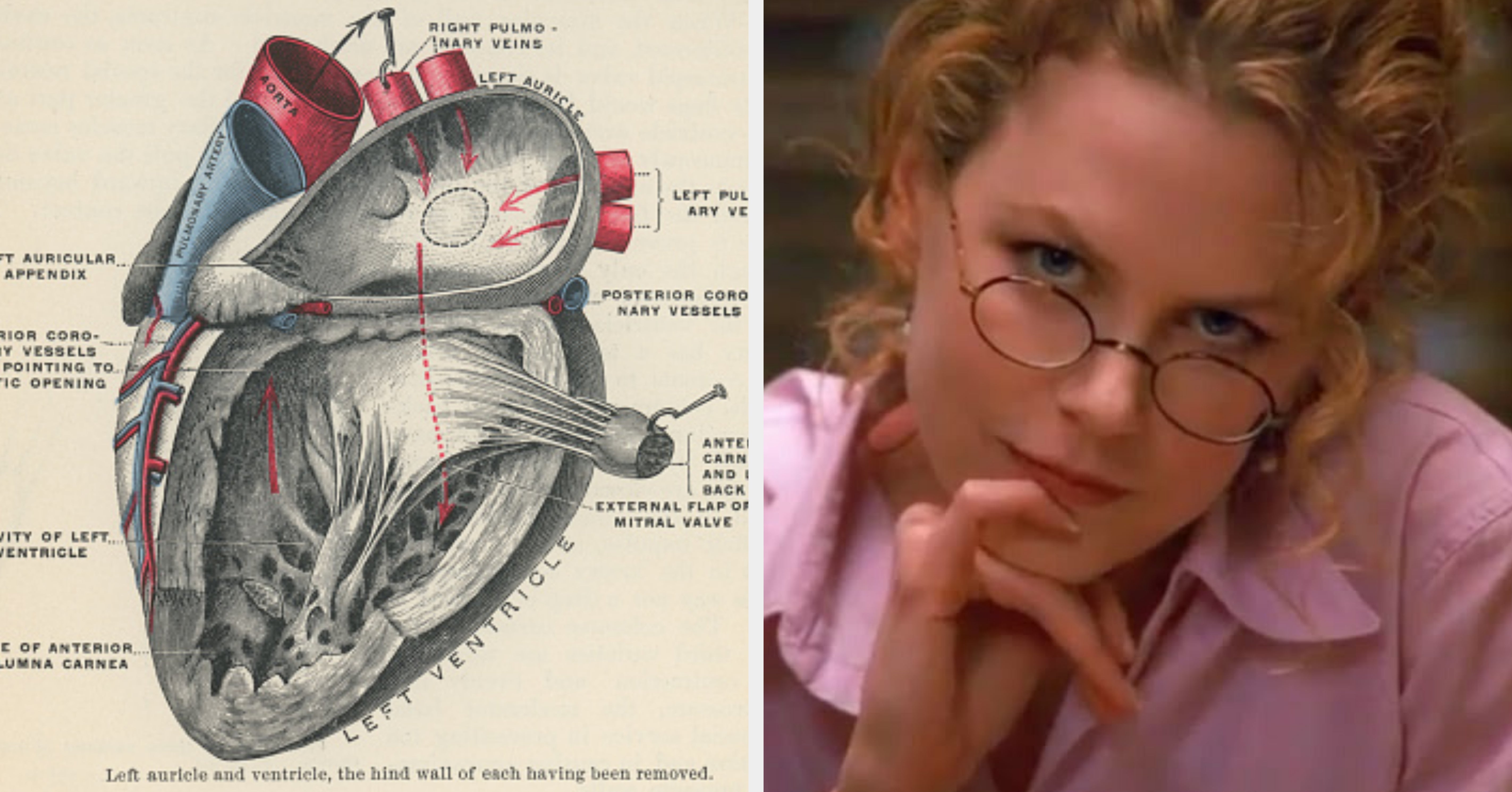 Which Of These 20 Body Organs Are You Really?