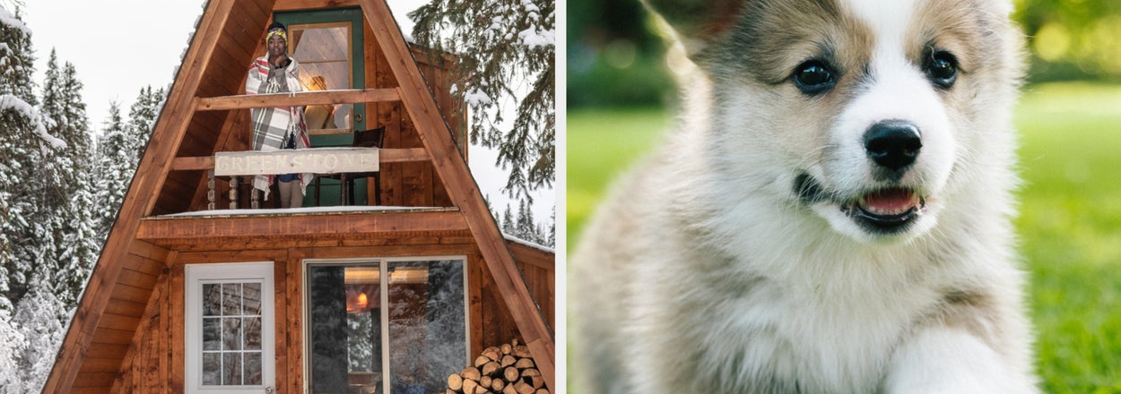 Design Your Dream Home Room by Room and We’ll Reveal Your Perfect Pet
