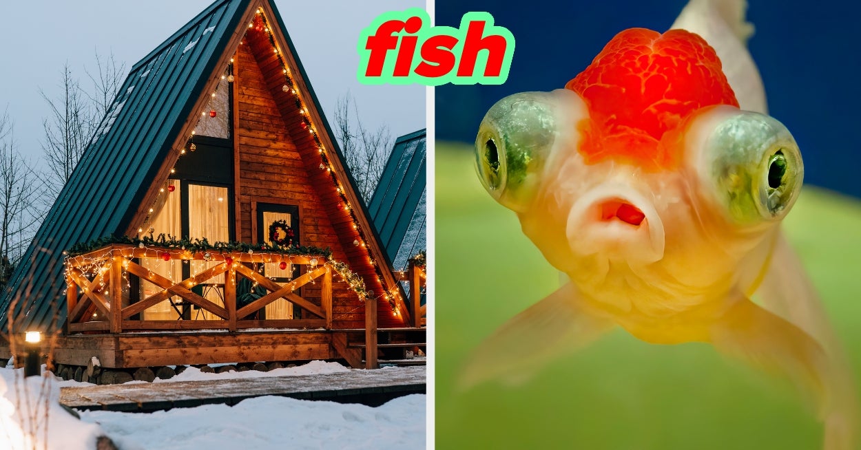 Design Your Dream Home Room by Room and We’ll Reveal Your Perfect Pet