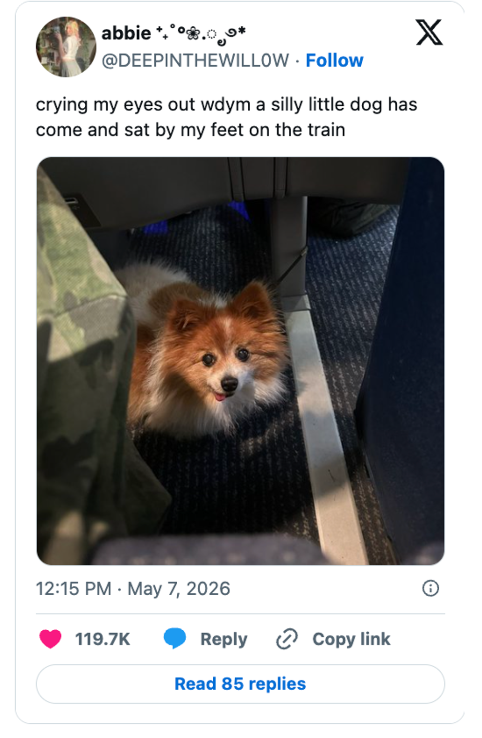 Post image 18