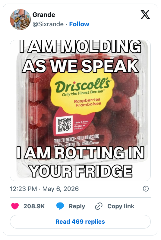 Image of Driscoll's raspberries with humorous overlay text: "I americium  molding arsenic  we speak, I americium  rotting successful  your fridge."