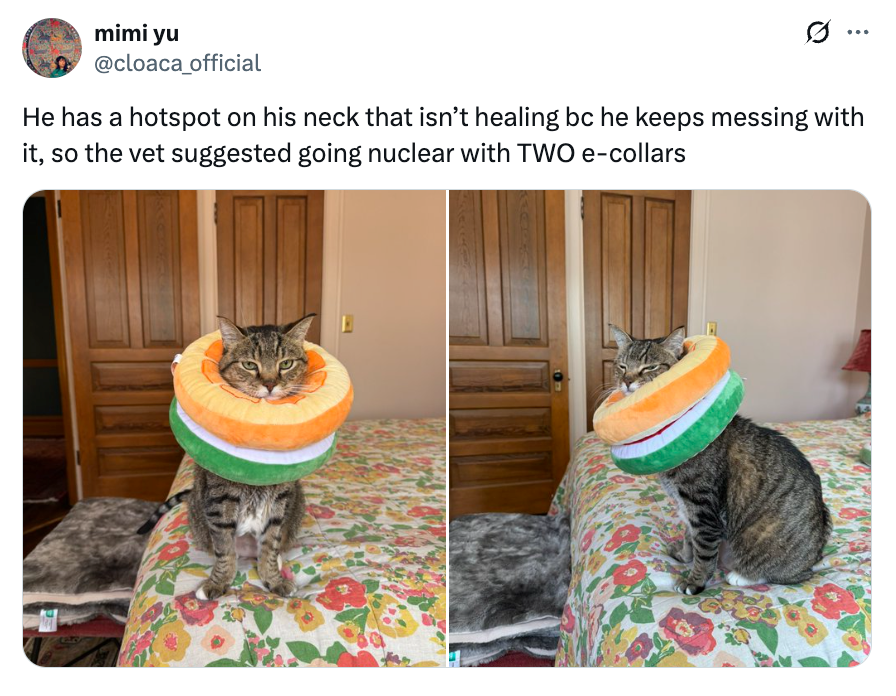 Post image 23