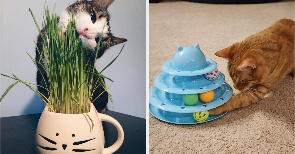 Reviewers’ Kitties Loved These 27 Products, So Maybe Yours Will Too