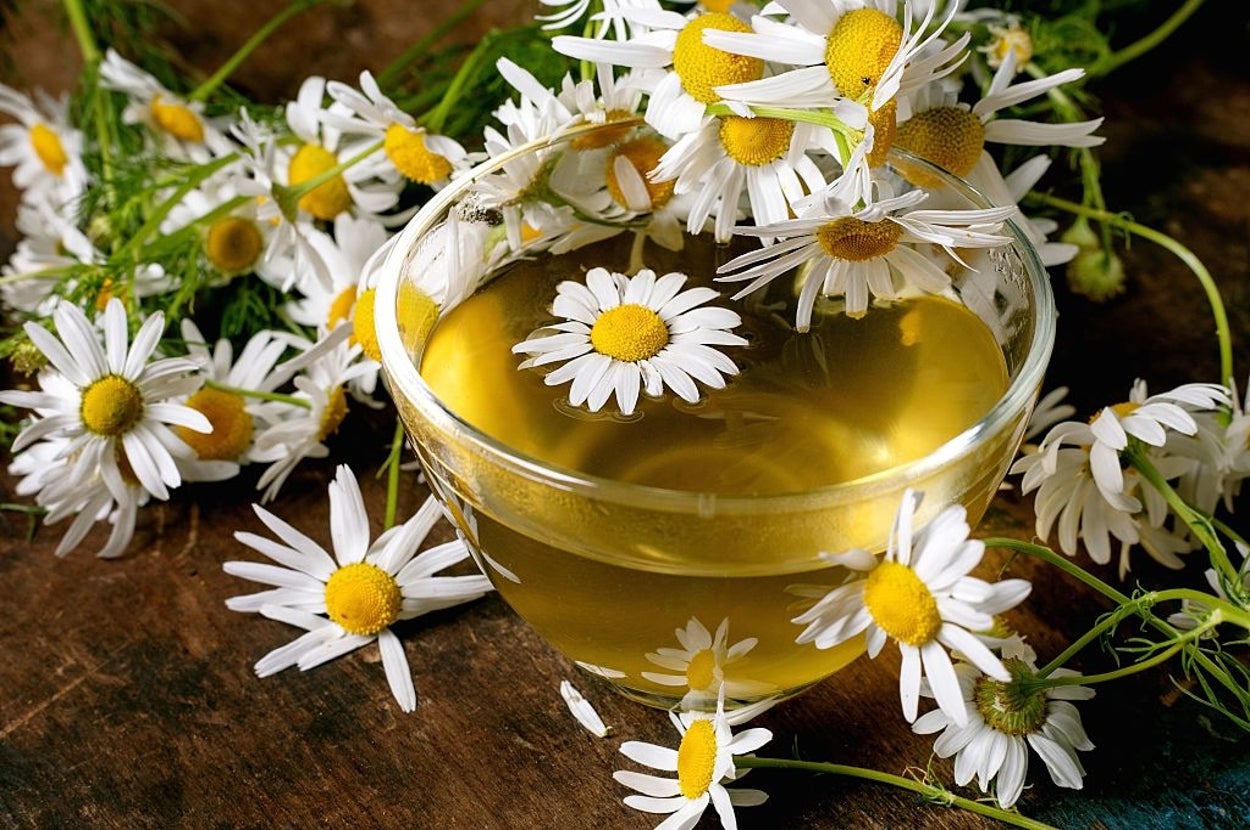 Cup Of Chamomile Tea Could Save Your Garden From Fungus