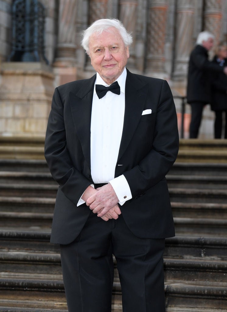 Elderly man in a formal black tuxedo with a bow tie stands on steps outside, smiling gently