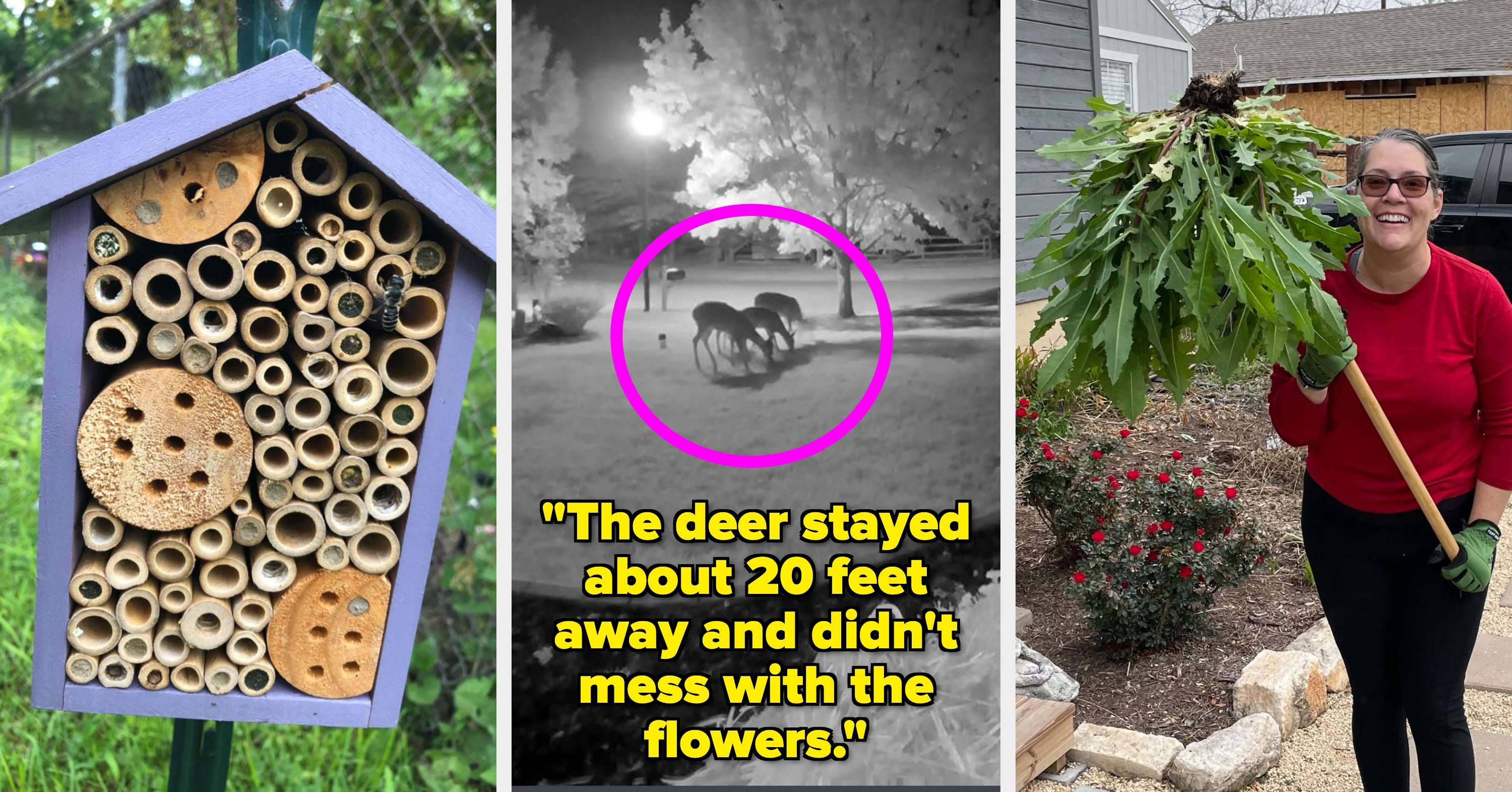 35 Gardening Products That Actually Work And Have The Photographic Evidence To Prove It