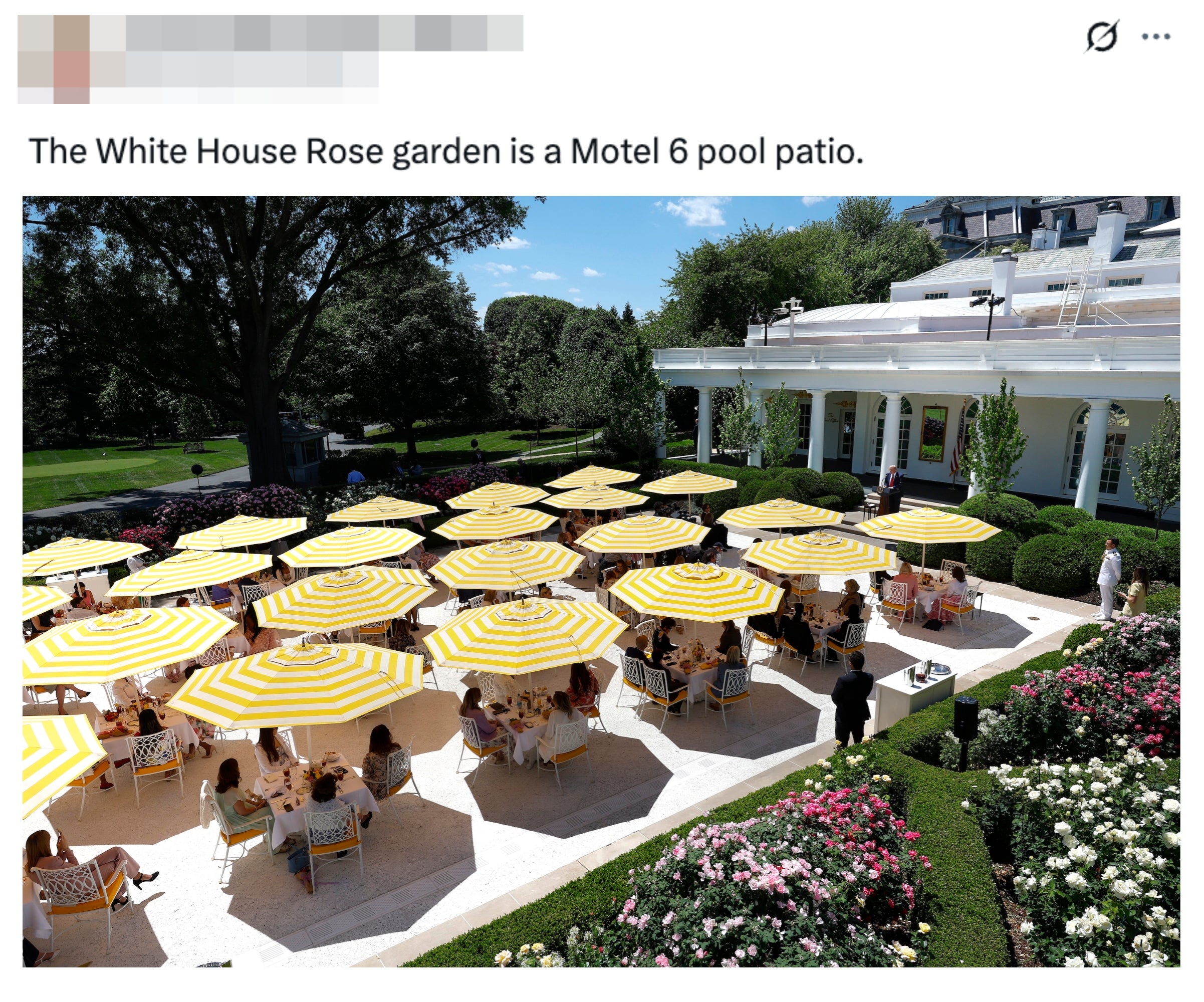 Tweet viser Rose Garden i Det hvite hus med gulstripete paraplyer og sitteplasser, som ligner en bassengterrasse