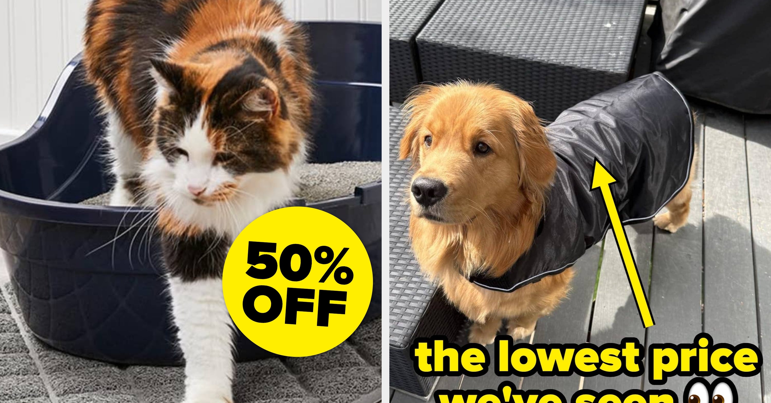All The Best Things You Can Get At Amazon's Pet Days Sale