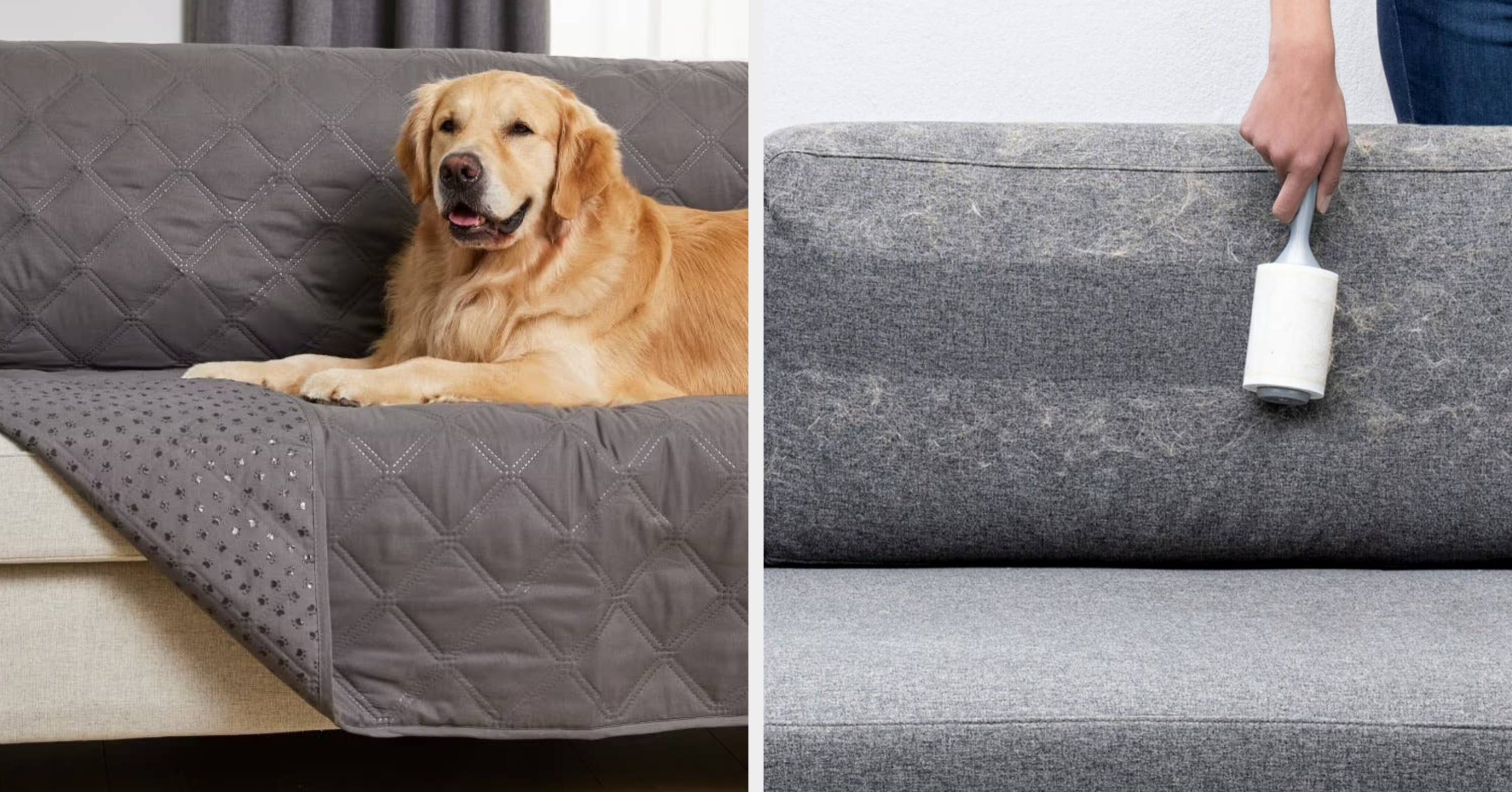 30 Things From Walmart That’ll Really Come In Handy If You Live With Two Or More Dogs