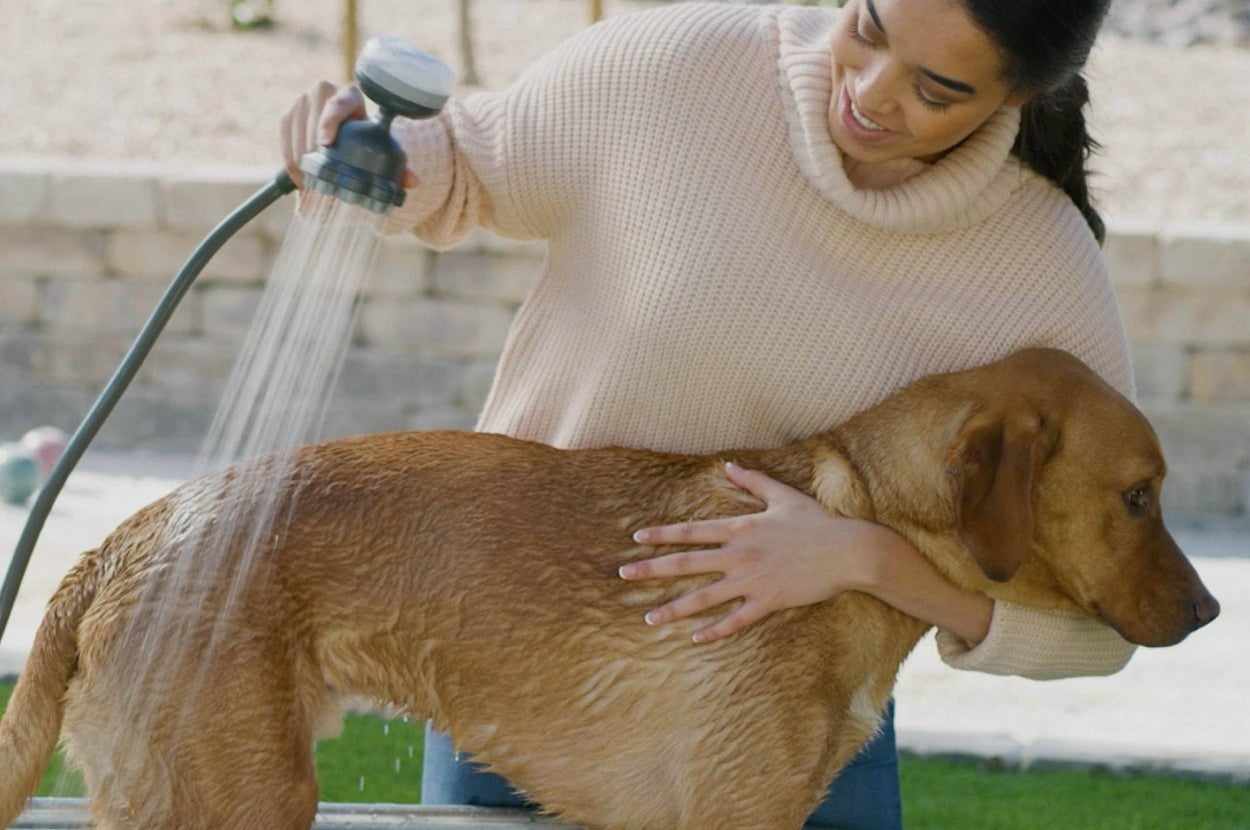 Person washing a wet dog with a garden hose in a yard, showing pet grooming or bath products for shopping context