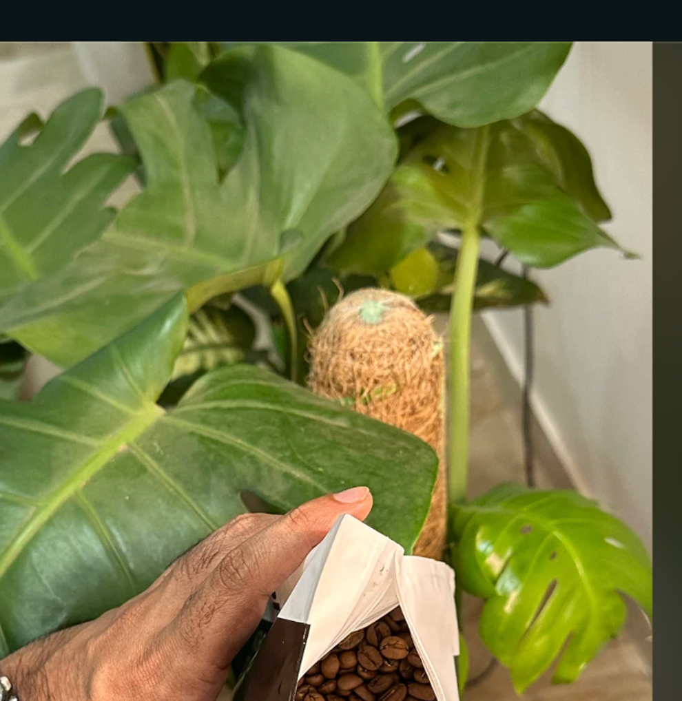 Post image 11