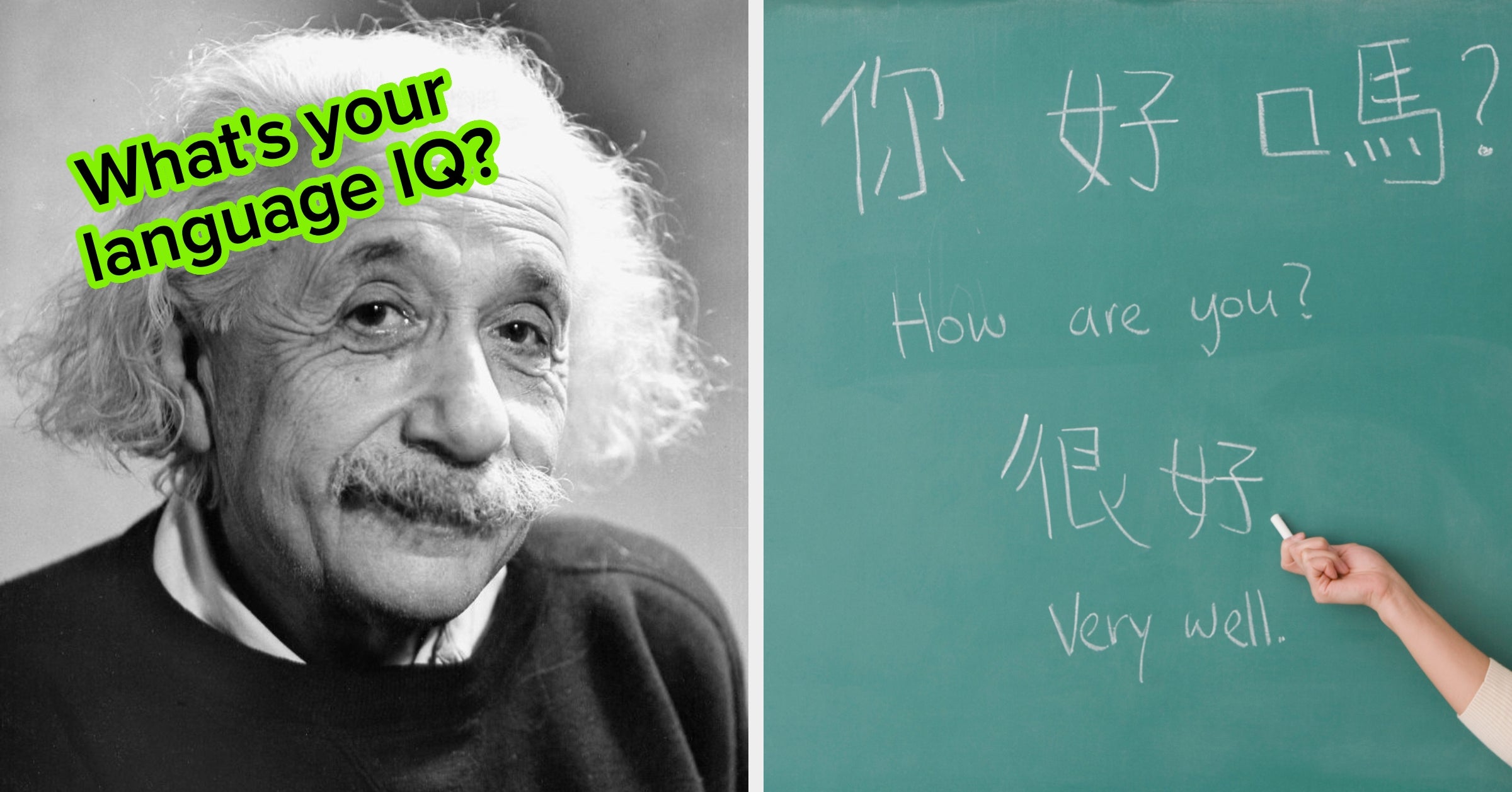 Unless You're As Smart As Albert Einstein, You Will Not, I Repeat, You Will Not Pass This Language Quiz