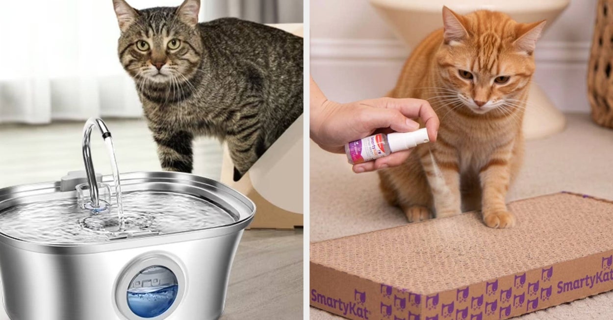 If Your Cat Is The Light Of Your Life, These 30 Products From Walmart Will Really Shine Through